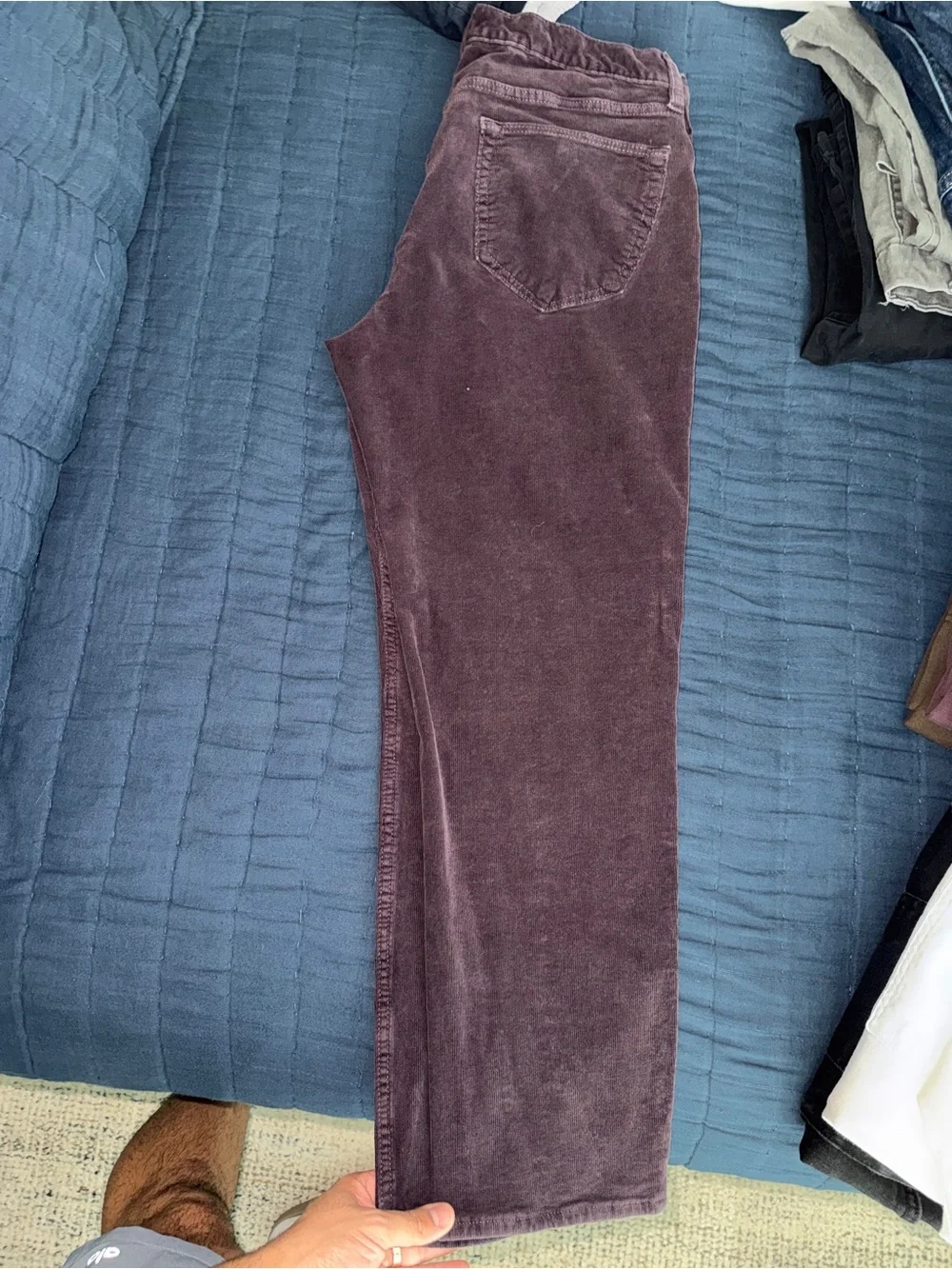 Banana Republic Slim Corduroy Pants in Plum